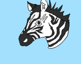 Disegno Zebra II pitturato su RICCARDO