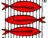 Disegno Pesce pitturato su marco