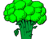 Disegno Broccoli  pitturato su giuseppe