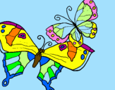 Disegno Farfalle pitturato su CARLOTTINA
