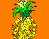 Disegno ananas  pitturato su Greta c.