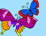 Disegno Farfalle pitturato su aurora
