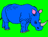 Disegno Rinoceronte  pitturato su donato