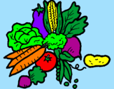 Disegno verdure  pitturato su Chiara