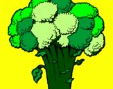 Disegno Broccoli  pitturato su Greta c.