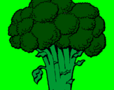 Disegno Broccoli  pitturato su Chiara