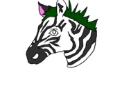 Disegno Zebra II pitturato su desirèe  e  stefano.