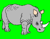Disegno Rinoceronte  pitturato su  giuseppe