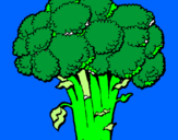 Disegno Broccoli  pitturato su ISABELLA