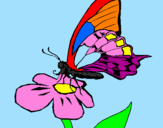 Disegno Farfalla sul fiore  pitturato su greta