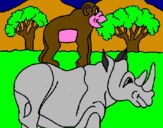 Disegno Rinoceronte e scimmietta  pitturato su GIORGIA P