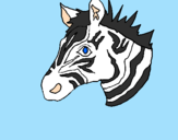 Disegno Zebra II pitturato su Matilde