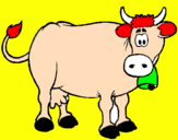 Disegno Mucca da latte  pitturato su la mucca Carolina