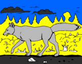 Disegno Coyote pitturato su ambra