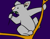 Disegno Koala  pitturato su Mery