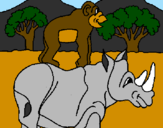 Disegno Rinoceronte e scimmietta  pitturato su Emma