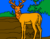 Disegno Giovane cervo pitturato su ambra