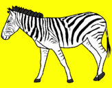 Disegno Zebra  pitturato su LETIZIA
