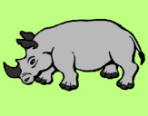 Disegno Rinoceronte  pitturato su Andrea B.