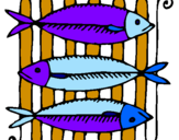 Disegno Pesce pitturato su GIULIA