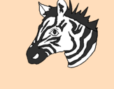 Disegno Zebra II pitturato su Emma
