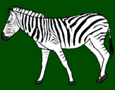 Disegno Zebra  pitturato su Emma