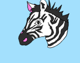 Disegno Zebra II pitturato su ALEX