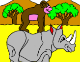 Disegno Rinoceronte e scimmietta  pitturato su ALEX