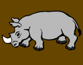 Disegno Rinoceronte  pitturato su Emma