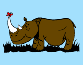 Disegno Rinoceronte e farfalla  pitturato su Emma