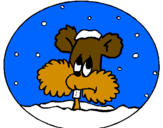 Disegno Scoiattolo in un palla di neve  pitturato su ALEX