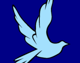 Disegno Colomba della pace in volo pitturato su dedè