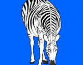 Disegno Zebra  pitturato su Emma