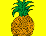 Disegno ananas  pitturato su stefano 11 maggio