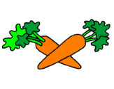 Disegno carote  pitturato su maria2