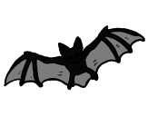 Disegno Pipistrello in volo  pitturato su un pipistrelo