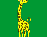 Disegno Giraffa  pitturato su francy01