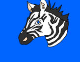 Disegno Zebra II pitturato su benedetta camarda