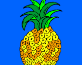 Disegno ananas  pitturato su ananas