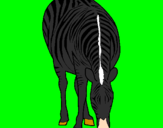 Disegno Zebra  pitturato su giallongo