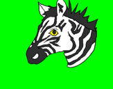 Disegno Zebra II pitturato su Andrea B.