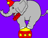 Disegno Elefante sulla palla  pitturato su francesco