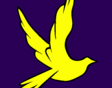 Disegno Colomba della pace in volo pitturato su marilena