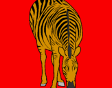 Disegno Zebra  pitturato su ruggero