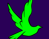 Disegno Colomba della pace in volo pitturato su silvietta