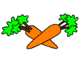 Disegno carote  pitturato su anna gaia
