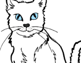 Disegno Gatto  pitturato su chiara