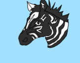 Disegno Zebra II pitturato su claudia