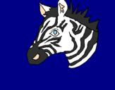 Disegno Zebra II pitturato su mattia