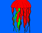 Disegno Medusa  pitturato su gasper